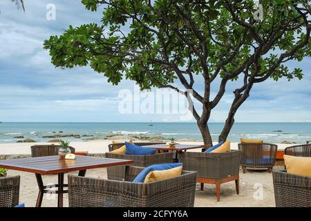 Vue sur le café Alfresco avec un confortable mobilier en rotin et un plumeria sur la terrasse de la plage de l'océan. Banque D'Images