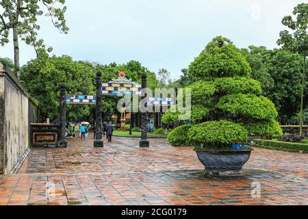 Bonsai arbres dans des pots à la ville impériale, une enceinte fortifiée dans la citadelle de la ville de Huế, Vietnam, Asie du Sud-est, Asie Banque D'Images
