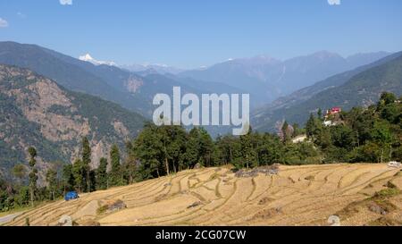 Une belle image de paysage de Terrace agriculture et de la distance des montagnes avec le ciel bleu vu d'un village de sikkim Inde Banque D'Images