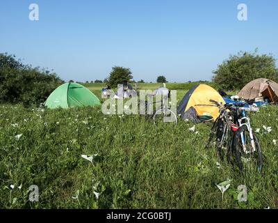 tentes de camping dans les zones humides, camp touristique dans le marais, Russie, région de Kaliningrad, 8 juin 2019 Banque D'Images