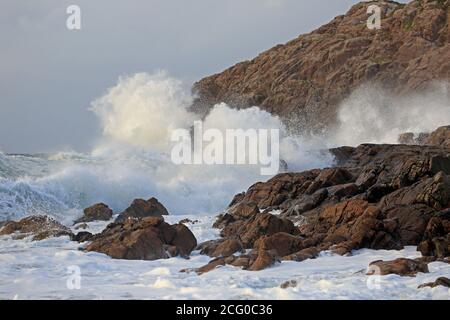De grandes vagues de tempête s'écrasant sur des rochers à Craimneach Bay Isle of Coll Inner Hebrides, en Écosse Banque D'Images