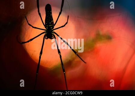 La nature s'arrête ici Banque D'Images