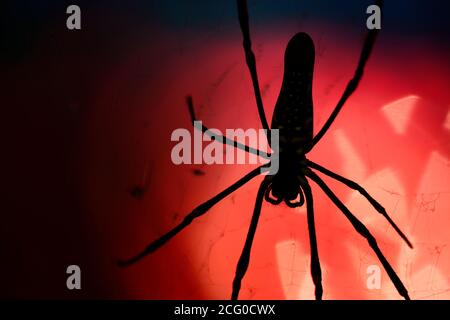 La nature s'arrête ici Banque D'Images