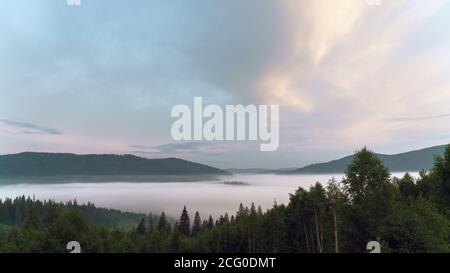 Montagnes au-dessus des nuages couverts par des forêts de pins sur Carpates montagnes Banque D'Images