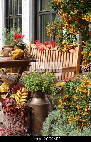 scène de jardin d'automne avec banc de jardin en bois, feu orange et laiteuse vintage Banque D'Images