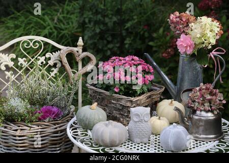 décoration de jardin d'automne avec fleurs dans un panier, citrouilles et personnage propre Banque D'Images