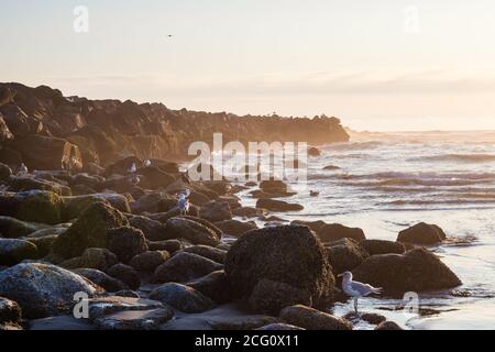 Vagues éclaboussant sur l'affleurement des Rocheuses sur Ocean Beach au coucher du soleil Banque D'Images