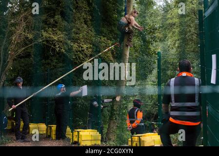 Denham, Royaume-Uni. 8 septembre 2020. Les gardes de sécurité HS2 et les agents de l'équipe nationale d'expulsion surveillent un activiste de la rébellion HS2 qui escalade un arbre dans le parc national Denham afin d'essayer de le protéger des travaux de la liaison ferroviaire à grande vitesse HS2. Les militants anti-HS2 continuent d'essayer d'empêcher ou de retarder les travaux sur le projet controversé de 106 milliards de livres sterling pour lequel la phase de construction a été annoncée le 4 septembre à partir d'une série de camps de protection basés le long de la route de la ligne entre Londres et Birmingham. Crédit : Mark Kerrison/Alamy Live News Banque D'Images