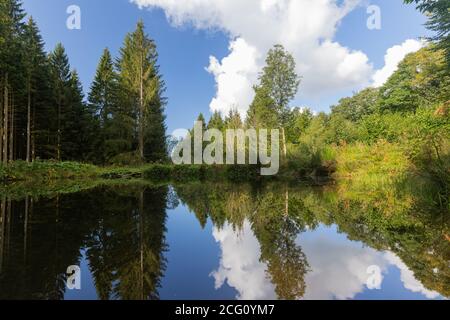 Petit lac avec une jetée en bois dans les Ardennes belges et parc Eifel de la province de Liège près de Bayehon. L'eau donne des reflets étonnants Banque D'Images