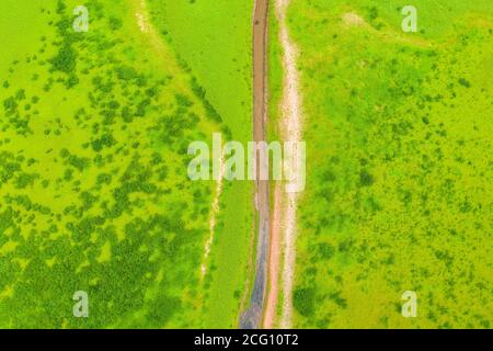 un ruisseau traverse un paysage vert herbacé d'en haut Banque D'Images