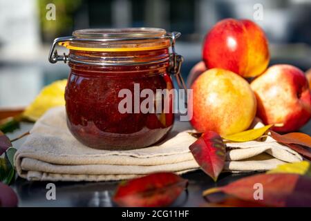 Confiture de nectarines et nectarines fraîches. Confiture de nectarine maison avec nectarines fraîches bio sur fond rustique en bois. Mise au point sélective. Banque D'Images