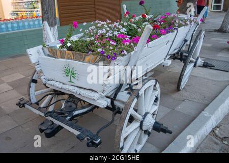 Un vieux chariot antique en blanc, rempli de fleurs. Banque D'Images