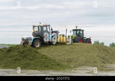 Izhevsk, Russie-août 11 2020 : machines agricoles pendant les travaux de préparation des aliments pour animaux pour l'hiver. Gros tracteurs à roues Banque D'Images