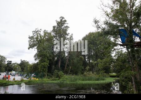 Denham, Royaume-Uni. 7 septembre 2020. Vue vers un site où un gros arbre est tombé soudainement au sol adjacent à un chantier de construction de la liaison ferroviaire à grande vitesse HS2 à Denham Ford. Crédit : Mark Kerrison/Alamy Live News Banque D'Images