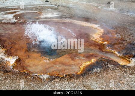 Geysers et évents thermiques de Yellowstone Banque D'Images