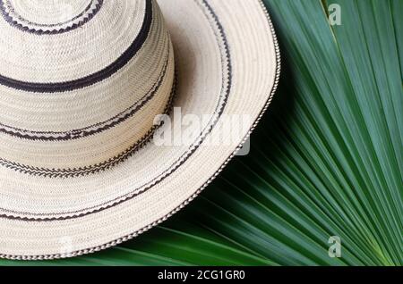 Les chapeaux panaméens sont faits à la main en utilisant une variété de techniques pour traiter les fibres naturelles de la paume toquilla 'Carludovica palmata'. Banque D'Images