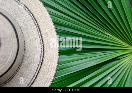 Les chapeaux panaméens sont faits à la main en utilisant une variété de techniques pour traiter les fibres naturelles de la paume toquilla 'Carludovica palmata'. Banque D'Images