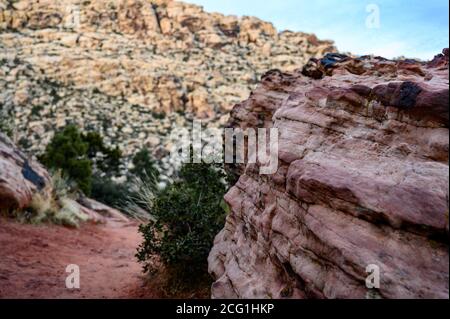 Faites de la randonnée le long d'un sentier de randonnée surplombant les montagnes à Red Rock Canyon, Nevada Banque D'Images