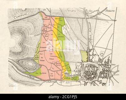 BOURGOGNE BOURGOGNE CARTE DES VIGNOBLES Côte de Beaune - Beaune Nord RODIER 1948 Banque D'Images