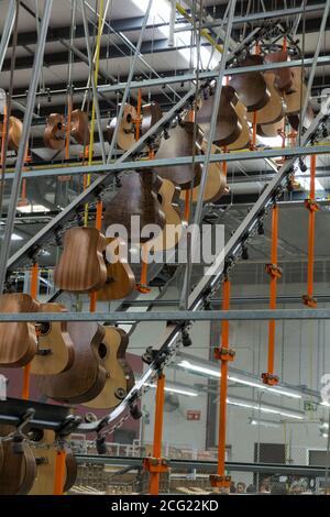 Les corps de guitare sont placés sur un carrousel automatisé le plafond de l'usine pour économiser de l'espace de stockage pendant les ponts nouvellement collés sèchent Banque D'Images