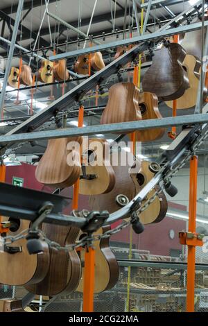 Les corps de guitare sont placés sur un carrousel automatisé le plafond de l'usine pour économiser de l'espace de stockage pendant les ponts nouvellement collés sèchent Banque D'Images