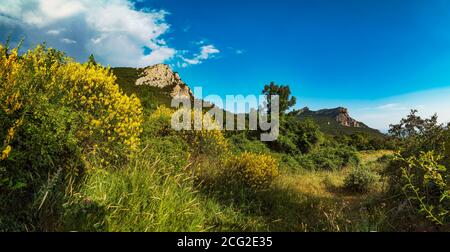 Paysage de montagne avec des arbustes à fleurs jaunes et ciel bleu.Panorama. Crimée Banque D'Images