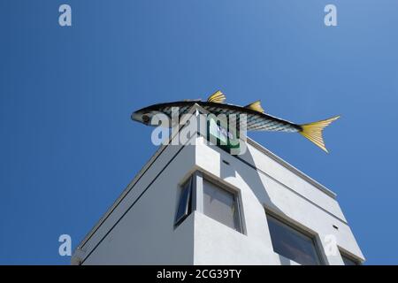 Sculpture de poisson de l'artiste Colin Suggett sur le toit de l'hôtel Fish Creek, Victoria, Australie Banque D'Images