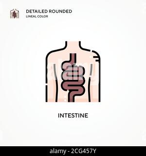 Icône vecteur intestinal. Concepts modernes d'illustration vectorielle. Facile à modifier et à personnaliser. Illustration de Vecteur