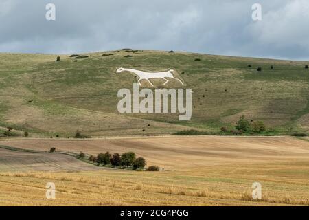 Alton Barnes White Horse a coupé en 1812 dans la colline de craie, Milk Hill, dans le Wiltshire, au Royaume-Uni. Une attraction touristique dans North Wessex Downs AONB. Banque D'Images