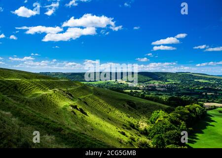 Un jour d'été sur le sommet de Hambledon Hill on Le nord du Dorset s'étend au sud-ouest de l'Angleterre Banque D'Images