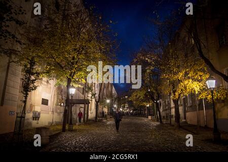 BELGRADE, SERBIE - 11 NOVEMBRE 2014 : rue Skadarlija (également connue sous le nom de Skadarska) la nuit avec ses cafés et restaurants pavés typiques Banque D'Images