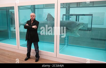 "L'impossibilité physique de la mort dans l'esprit de quelqu'un vivant" par Damien Hirst au 