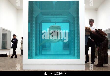 L'œuvre de Damian Hirst en 1991 « l'impossibilité physique de la mort dans l'esprit de quelqu'un vivant » lors de l'ouverture de son exposition solo au Tate Modern dans le centre de Londres. Banque D'Images