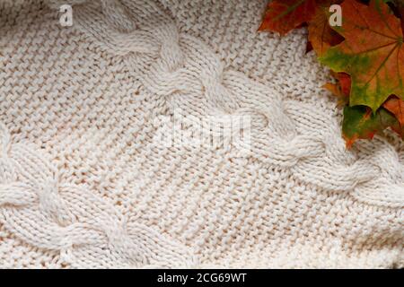 Composition d'automne. Tissu écossais, feuilles séchées sur fond blanc. Automne, automne concept. Flat lay, vue de dessus, espace de copie Banque D'Images