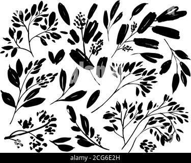 Branches de plante avec des illustrations vectorielles de feuilles. Illustration de Vecteur