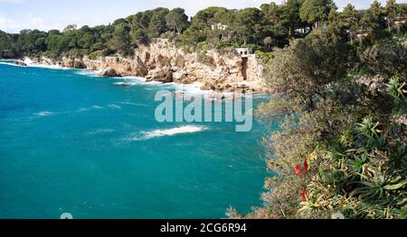 Fleurs d'orange (Aloe), mer bleue et falaises sur le Cap d'Antibes, côte d'azur, France Banque D'Images