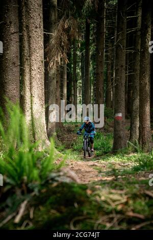 Jeune femme à vélo de montagne le long d'un sentier dans la forêt, Salzbourg, Autriche Banque D'Images
