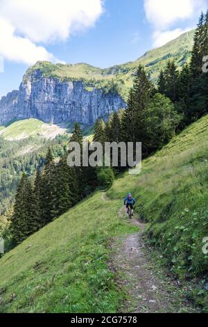 Vue arrière d'un homme qui fait du vélo de montagne le long d'un sentier dans les alpes suisses, en Suisse Banque D'Images