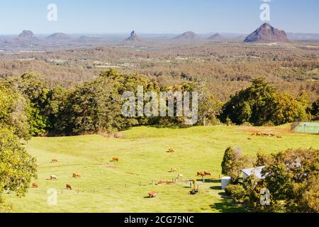 Glass House Mountains Queensland Australie Banque D'Images