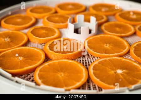 Gros plan de l'orange séchée maison placé sur un plateau en plastique de la machine à sécher les fruits, concept d'encas Banque D'Images