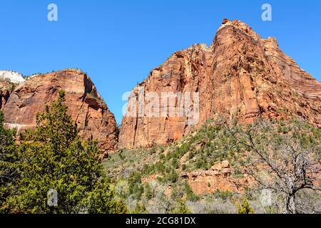 Magnifique paysage dans le parc national de Zion situé aux États-Unis dans le sud-ouest de l'Utah. Banque D'Images