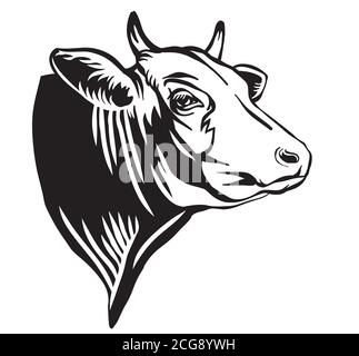 Illustration vectorielle de la gravure de l'icône en forme de tête de taureau de couleur noire isolée sur fond blanc. Image de gabarit de gravure de la vache. Elément de conception pour la poste Illustration de Vecteur