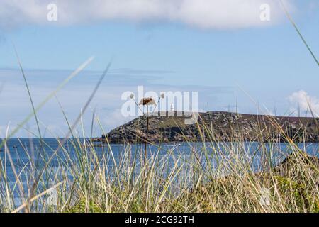 Le jour de l'île de St Matn's, les îles de Scilly Banque D'Images