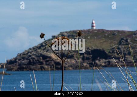 Le jour de l'île de St Matn's, les îles de Scilly Banque D'Images