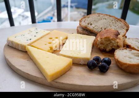 Collection de fromages français sur plateau en marbre, emmental, carré de aurillac, petit cantal AOP Jeune, buche chevre et brie Banque D'Images