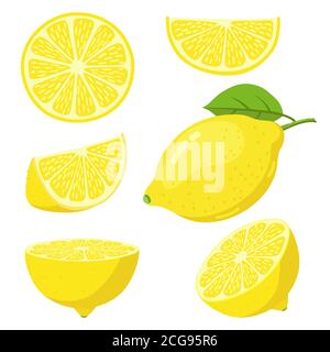 Tranches de citron. Tranche d'agrumes, citrons jaunes juteux, citrons frais en tranches, kits d'illustrations vectorielles de agrumes mûrs végétariens de vitamine C Illustration de Vecteur