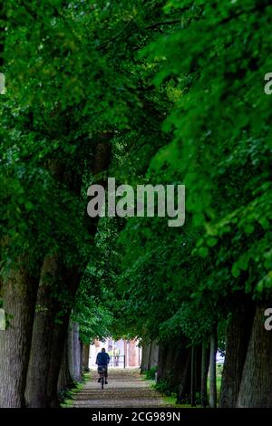 Gardelden, Allemagne. 02 juillet 2020. Une avenue d'arbres des remparts, construite au XVIe siècle pour protéger la ville. Lorsque l'industrialisation a conduit à la croissance de la ville, les fortifications autour de la ville ont été converties en promenade. Depuis, la vieille ville est entourée d'une bande verte de 2.5 kilomètres de long. Les remparts de Gardelden font partie du réseau "Gartenträume - Parcs historisques à Sachsen-Anhalt" qui célèbre cette année son 20e anniversaire. Credit: Klaus-Dietmar Gabbert/dpa-Zentralbild/ZB/dpa/Alay Live News Banque D'Images