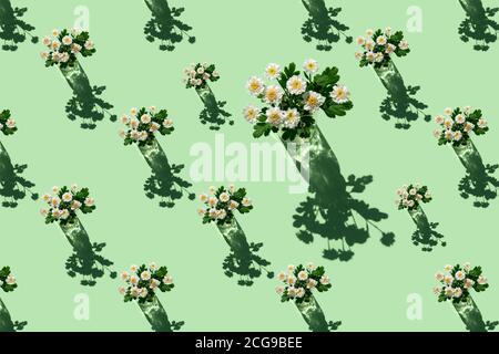 Motif d'une belle camomille médicinale en verre sur fond vert pastel ou menthe. Concept de fleurs minimales en lumière dure avec ombres. Abstrac Banque D'Images