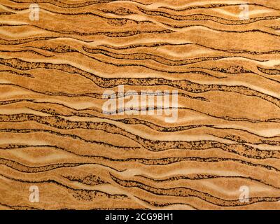 Magnifique motif à rayures tigrées sur moquette classique pour une texture d'arrière-plan. Banque D'Images