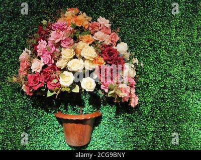 Décoration intérieure. Plusieurs fleurs colorées dans une baignoire avec des feuilles vertes en arrière-plan. Banque D'Images